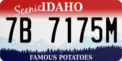 ID license plate 7B7175M