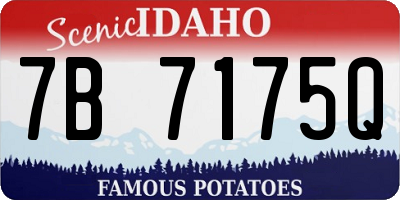 ID license plate 7B7175Q
