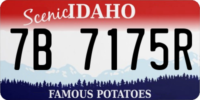 ID license plate 7B7175R