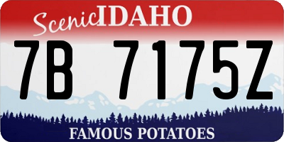 ID license plate 7B7175Z
