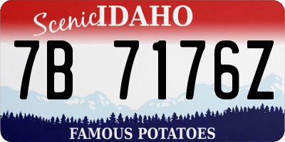 ID license plate 7B7176Z