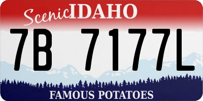 ID license plate 7B7177L