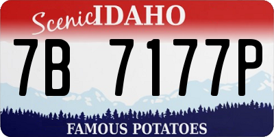 ID license plate 7B7177P