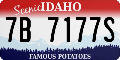 ID license plate 7B7177S
