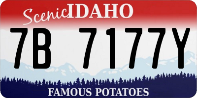 ID license plate 7B7177Y