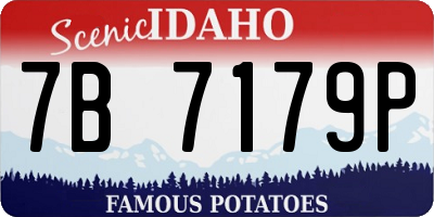 ID license plate 7B7179P