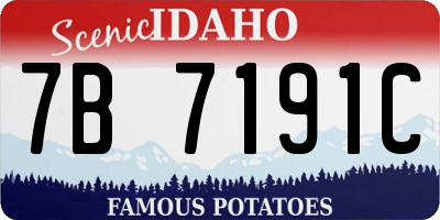 ID license plate 7B7191C