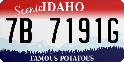ID license plate 7B7191G
