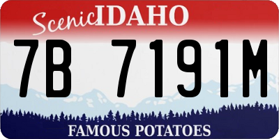 ID license plate 7B7191M
