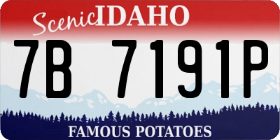 ID license plate 7B7191P