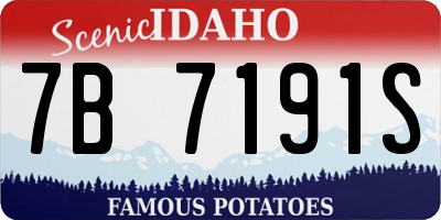 ID license plate 7B7191S