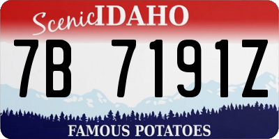 ID license plate 7B7191Z