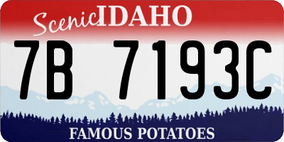 ID license plate 7B7193C