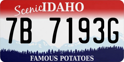 ID license plate 7B7193G
