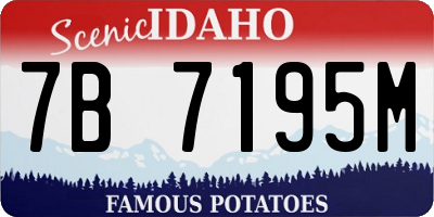 ID license plate 7B7195M