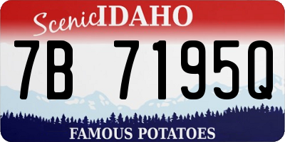 ID license plate 7B7195Q
