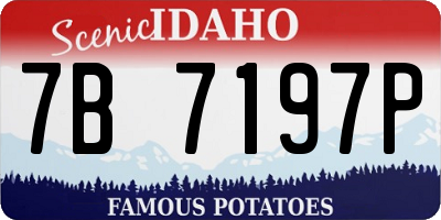 ID license plate 7B7197P