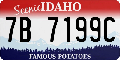ID license plate 7B7199C