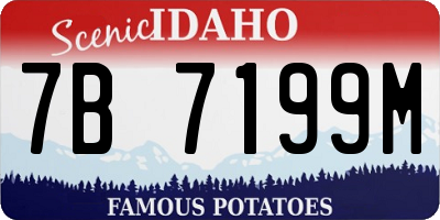 ID license plate 7B7199M
