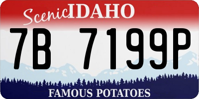 ID license plate 7B7199P