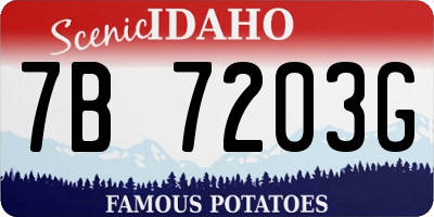 ID license plate 7B7203G