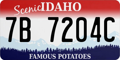ID license plate 7B7204C