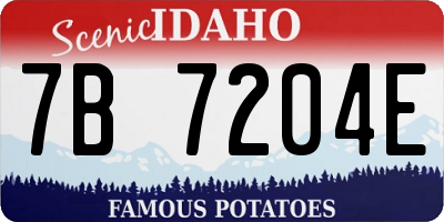ID license plate 7B7204E
