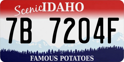 ID license plate 7B7204F