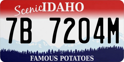 ID license plate 7B7204M