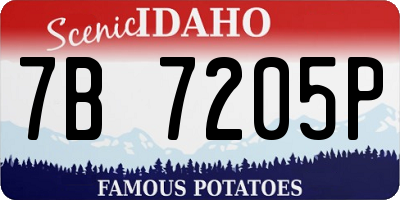 ID license plate 7B7205P