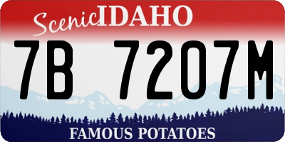 ID license plate 7B7207M
