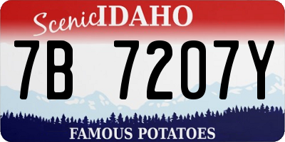 ID license plate 7B7207Y