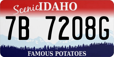 ID license plate 7B7208G