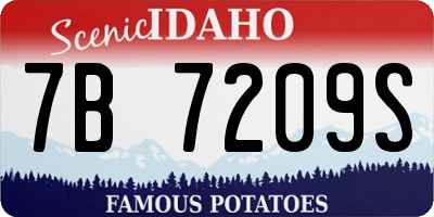 ID license plate 7B7209S