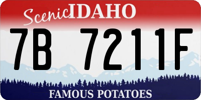 ID license plate 7B7211F