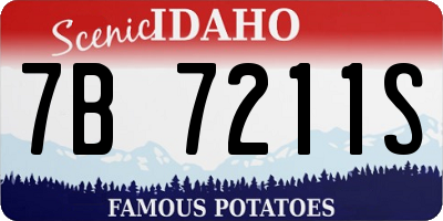 ID license plate 7B7211S