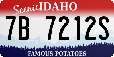 ID license plate 7B7212S