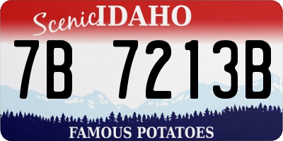ID license plate 7B7213B