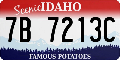 ID license plate 7B7213C