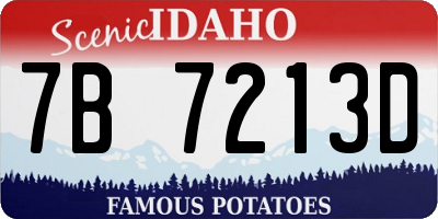 ID license plate 7B7213D