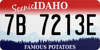 ID license plate 7B7213E