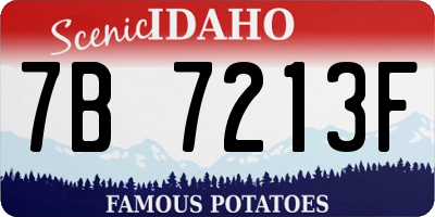 ID license plate 7B7213F