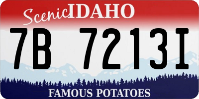 ID license plate 7B7213I