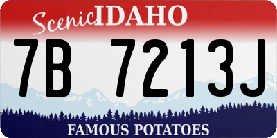 ID license plate 7B7213J