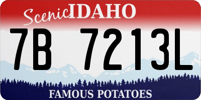 ID license plate 7B7213L