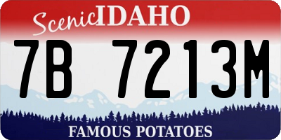 ID license plate 7B7213M