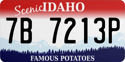 ID license plate 7B7213P