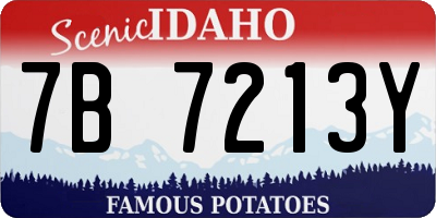 ID license plate 7B7213Y