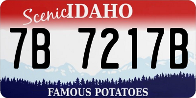 ID license plate 7B7217B