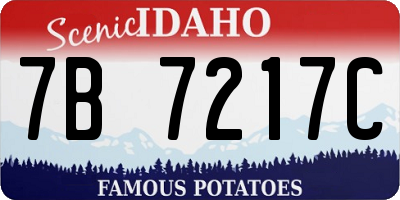 ID license plate 7B7217C